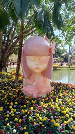 chiang-mai-flowers-242x431 Chiang Mai festival fleurs