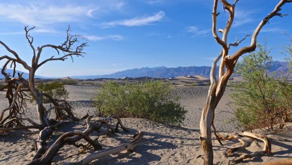 dune death valley