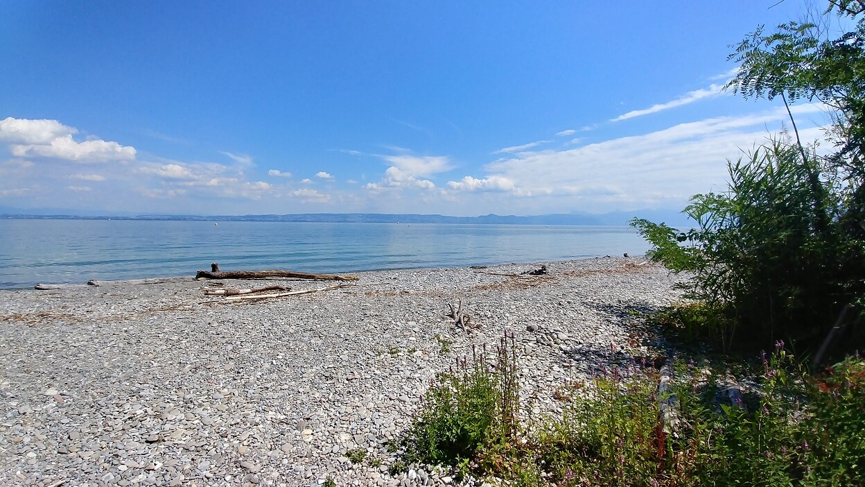 Plage Delta Dranse Lac Leman