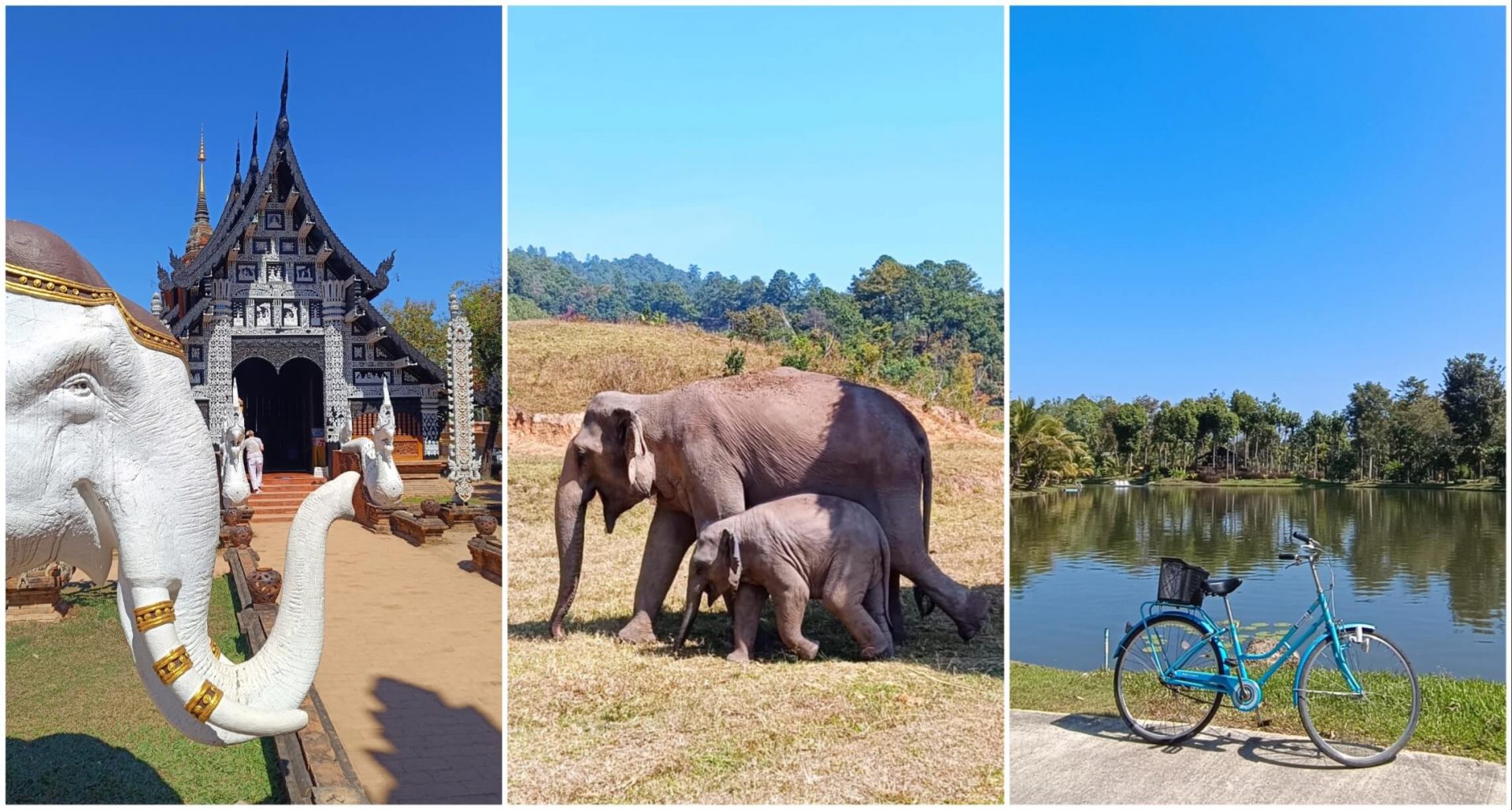 experiences-chiang-mai