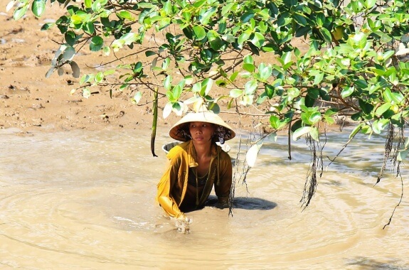 femme pêcheuse vietnam