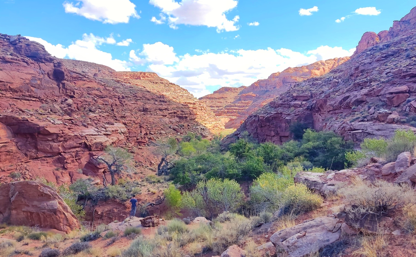 Canyon Utah