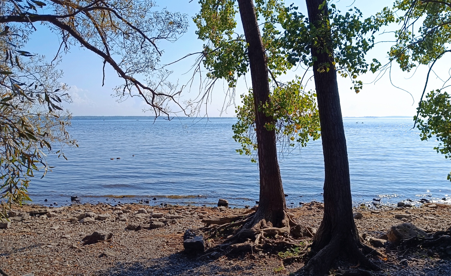Greve fleuve Saint Laurent Montréal