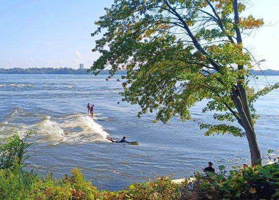 Vague à Guy Montréal