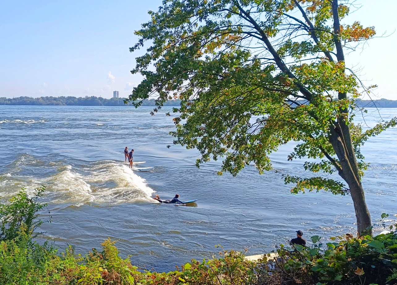 Vague à Guy Montréal