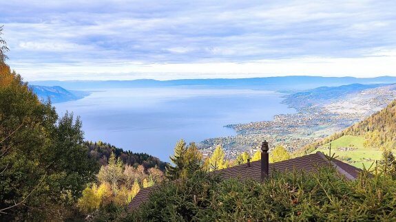 haut de caux