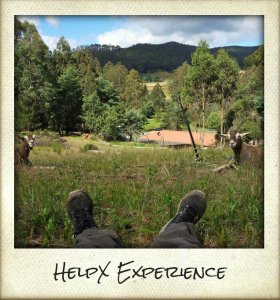 helpx.jpg-280x300