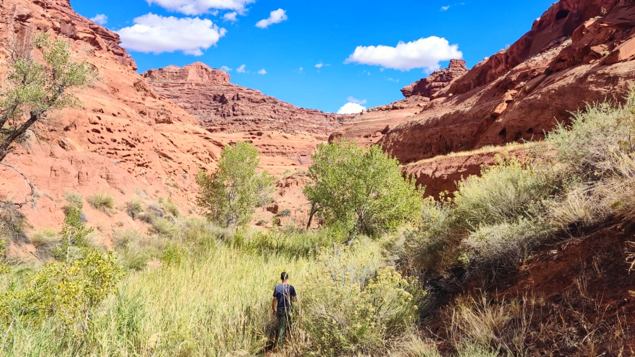 Hog Canyon utah