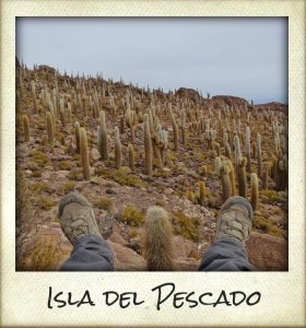 isla-del-pescado-280x300