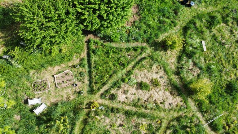 10 conseils pour bien commencer son jardin-forêt ou forêt comestible