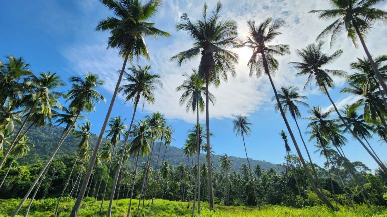 Cette région méconnue de Thaïlande entre jungle immense, plages désertes et routes sauvages