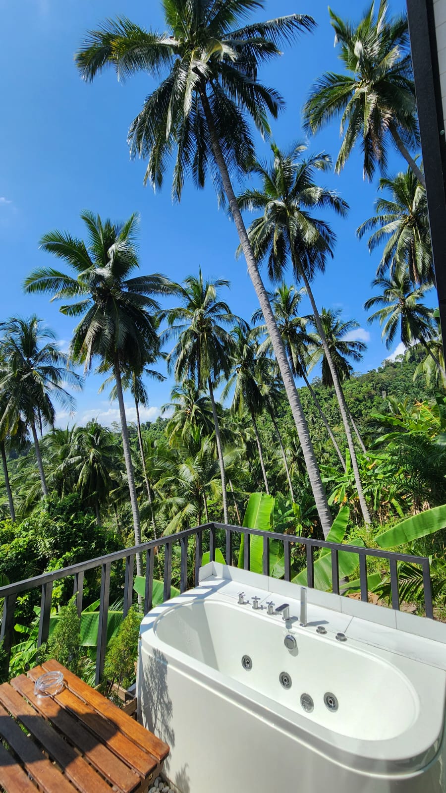 Baignoire dans la jungle 