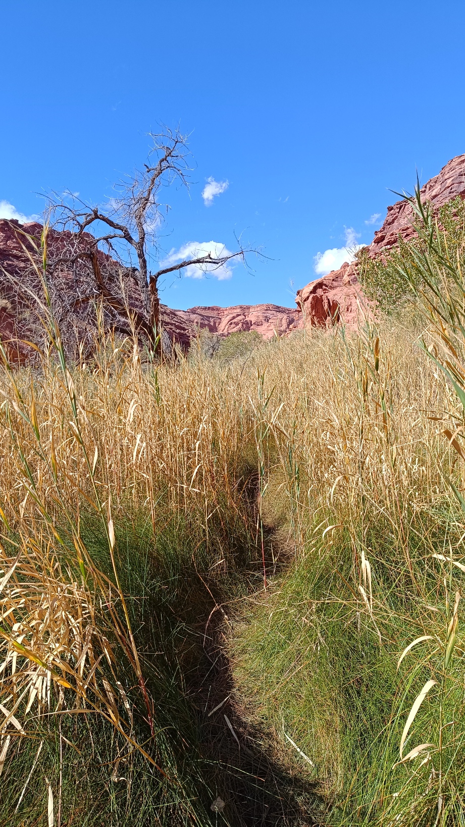 Ligne de désir Canyon