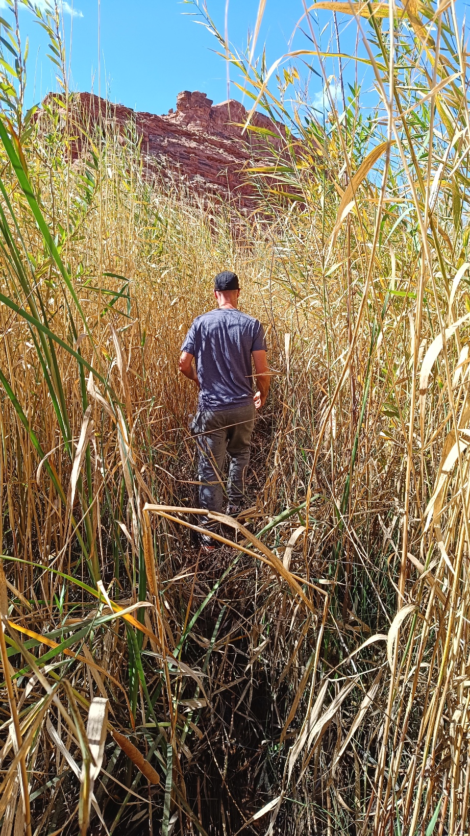 Hautes herbes canyon