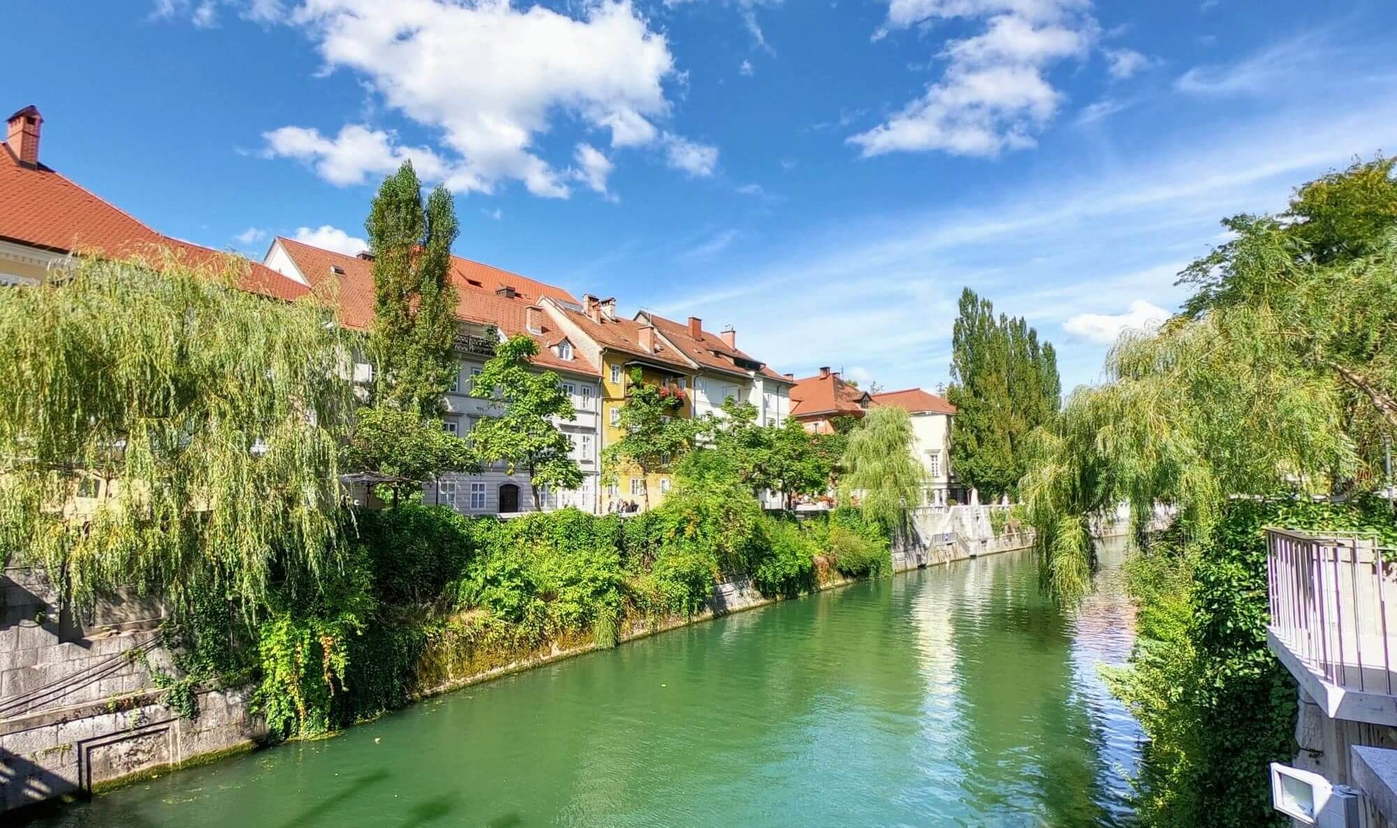 ljub9 Ljubljana fleuve