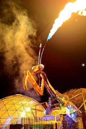 mante-religieuse-downtown-vegas-287x431 Mantis Las Vegas