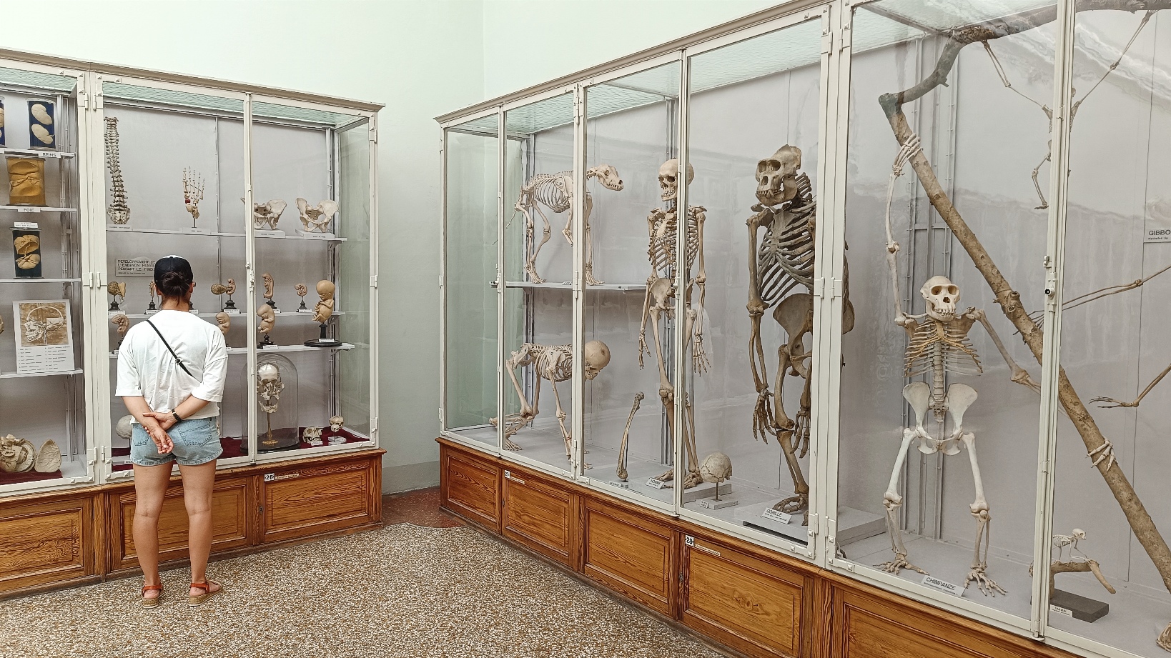 Muséum Lausanne