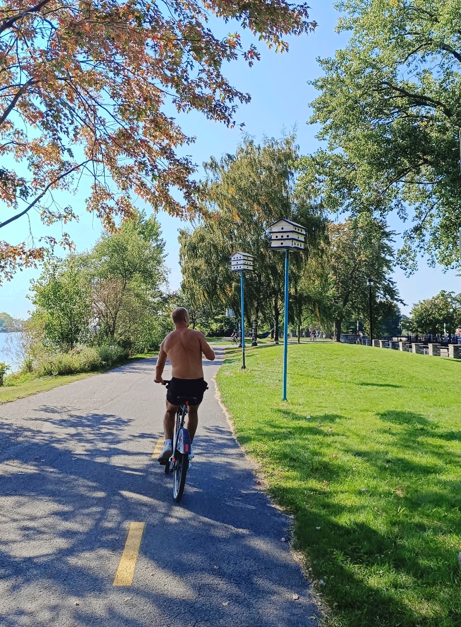Nichoirs piste cyclable