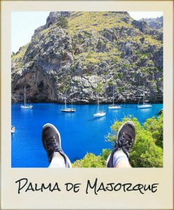 palma-248x300
