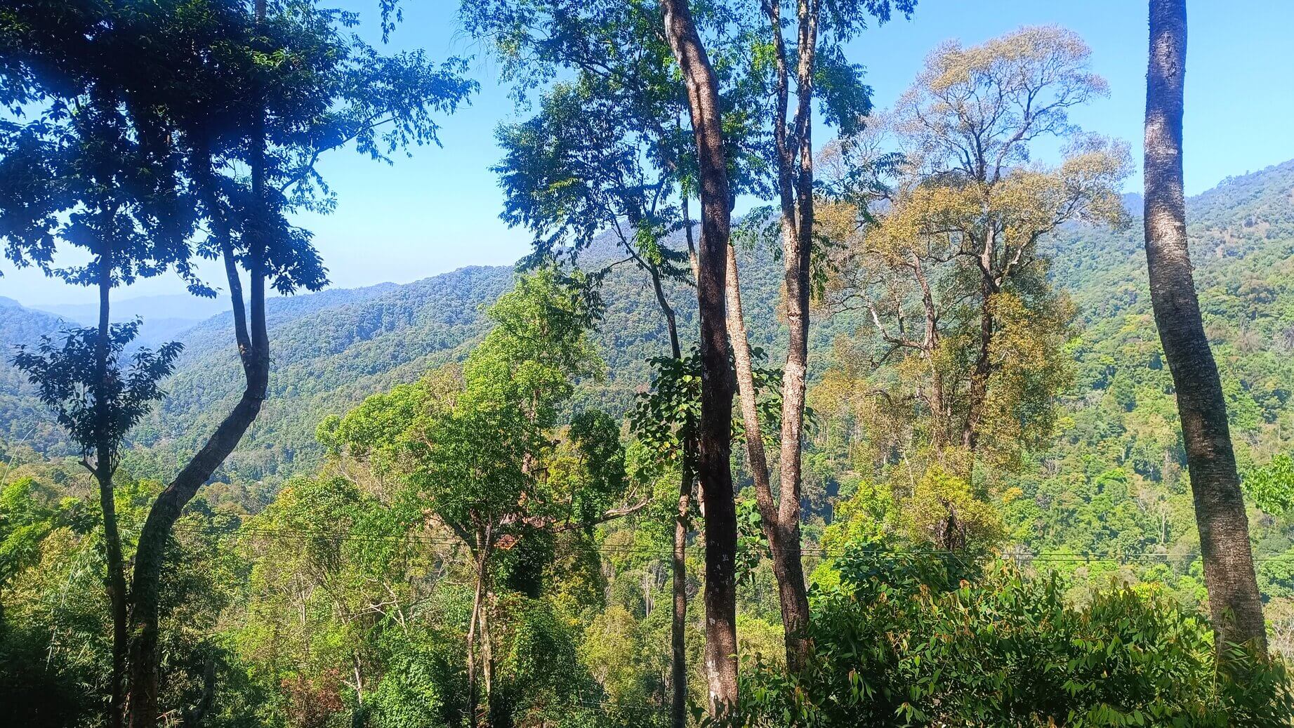 Panorama Jungle tyrolienne