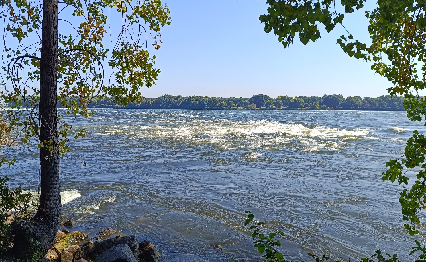 Parc des rapides Montréal