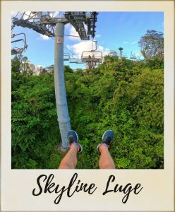 pola-skyline-luge-248x300