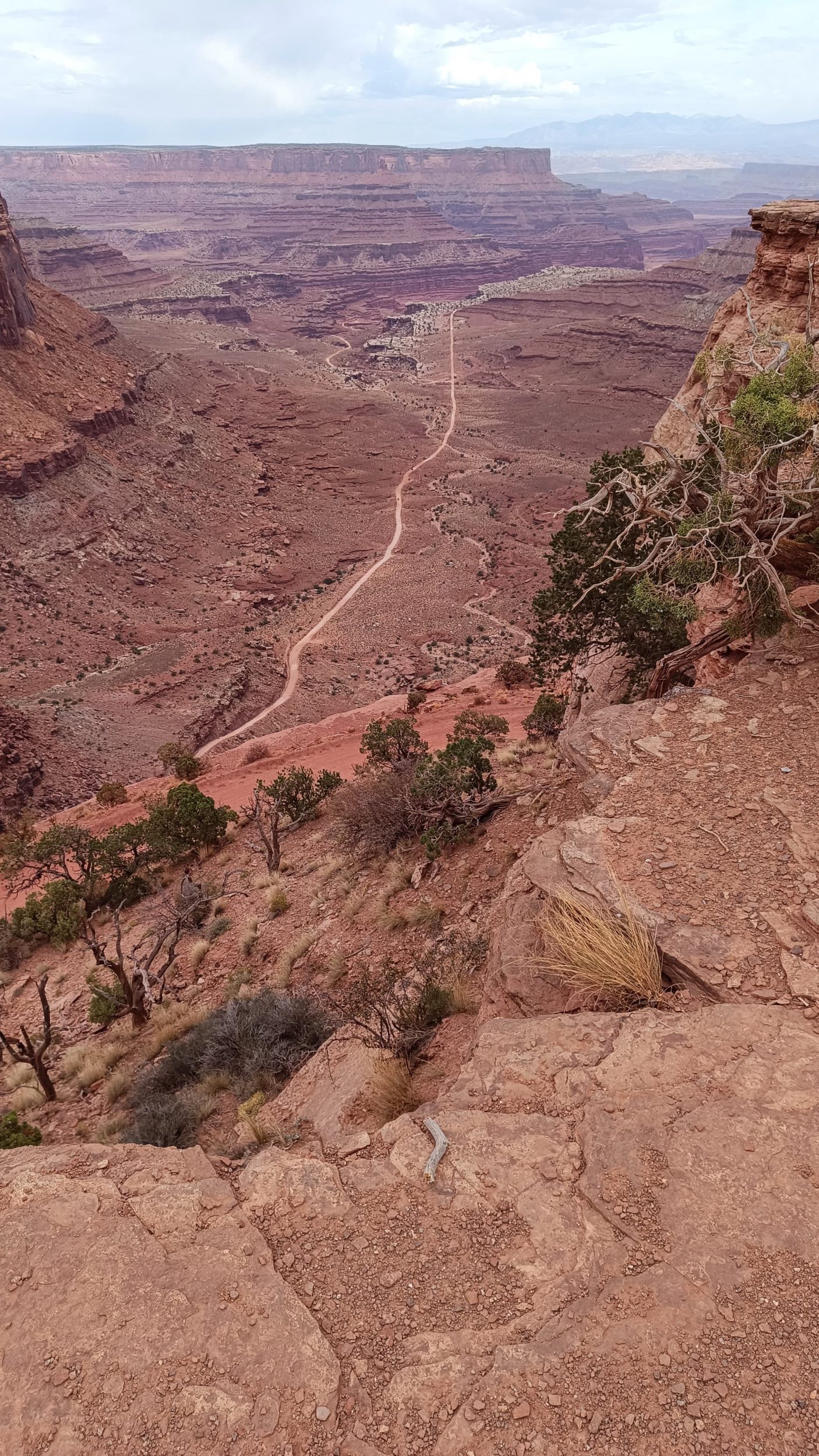 Panorama Shafer Canyon