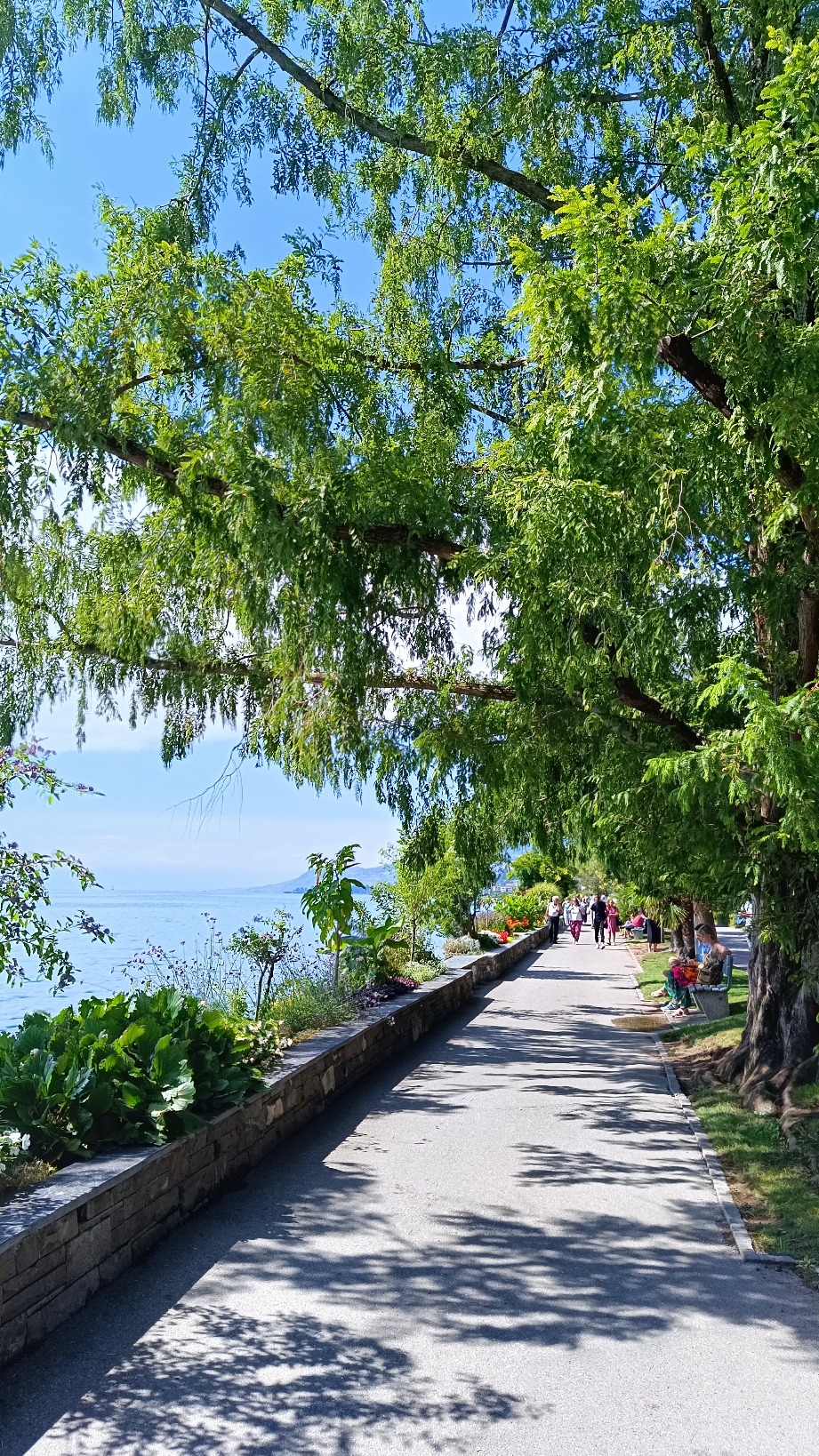 Quais Montreux Panorama