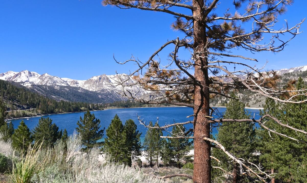 june lake