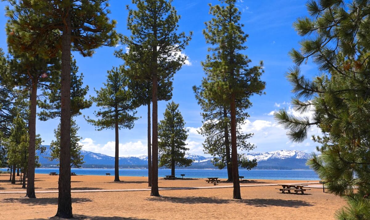 Nevada Beach 