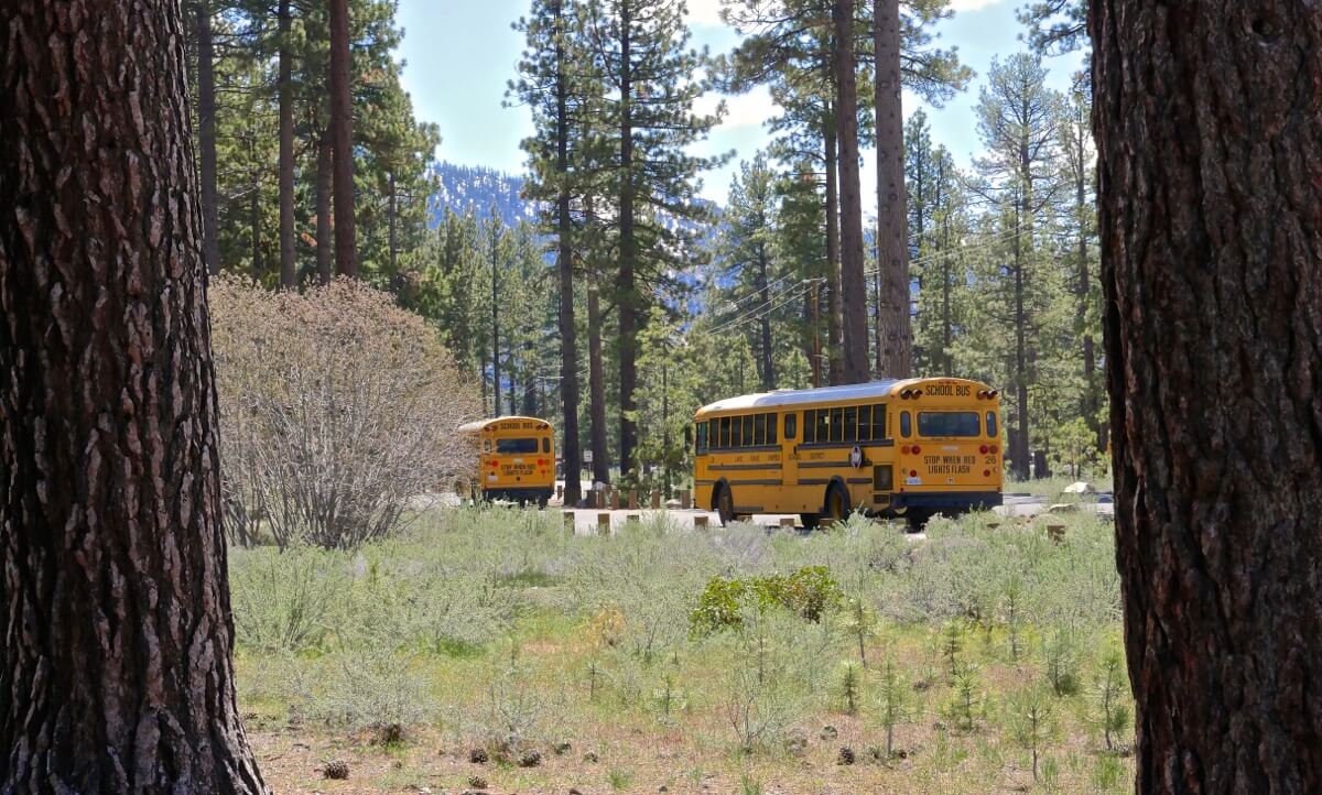 Bus américain Lac Tahoe