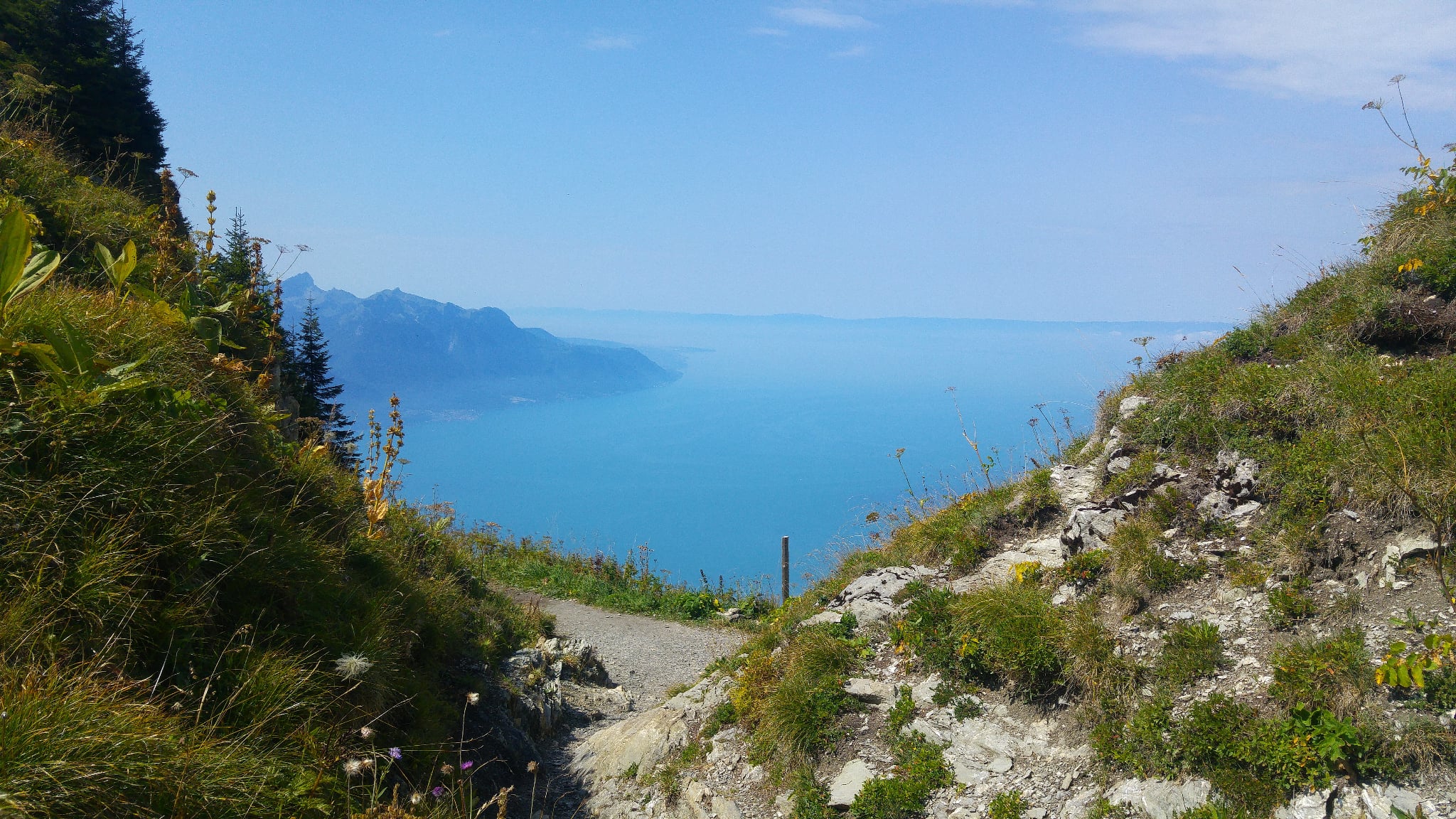Randonnée Rochers de Naye panorama lors de la montée