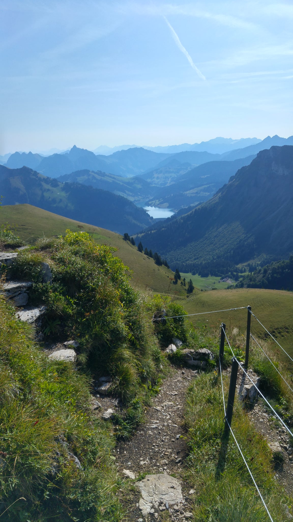 Jardin alpin Rochers de Naye
