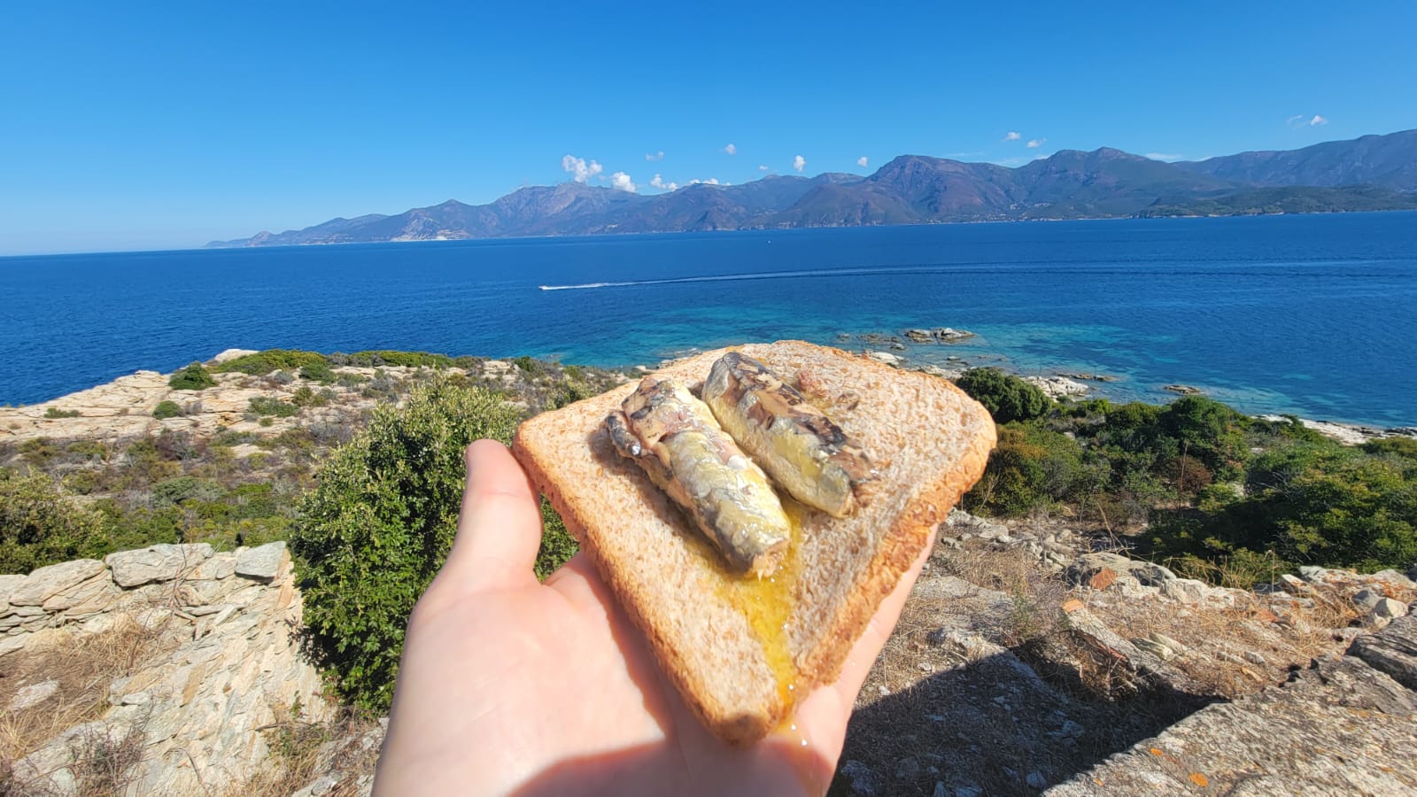Sandwich aux sardines et panorama sur la mer