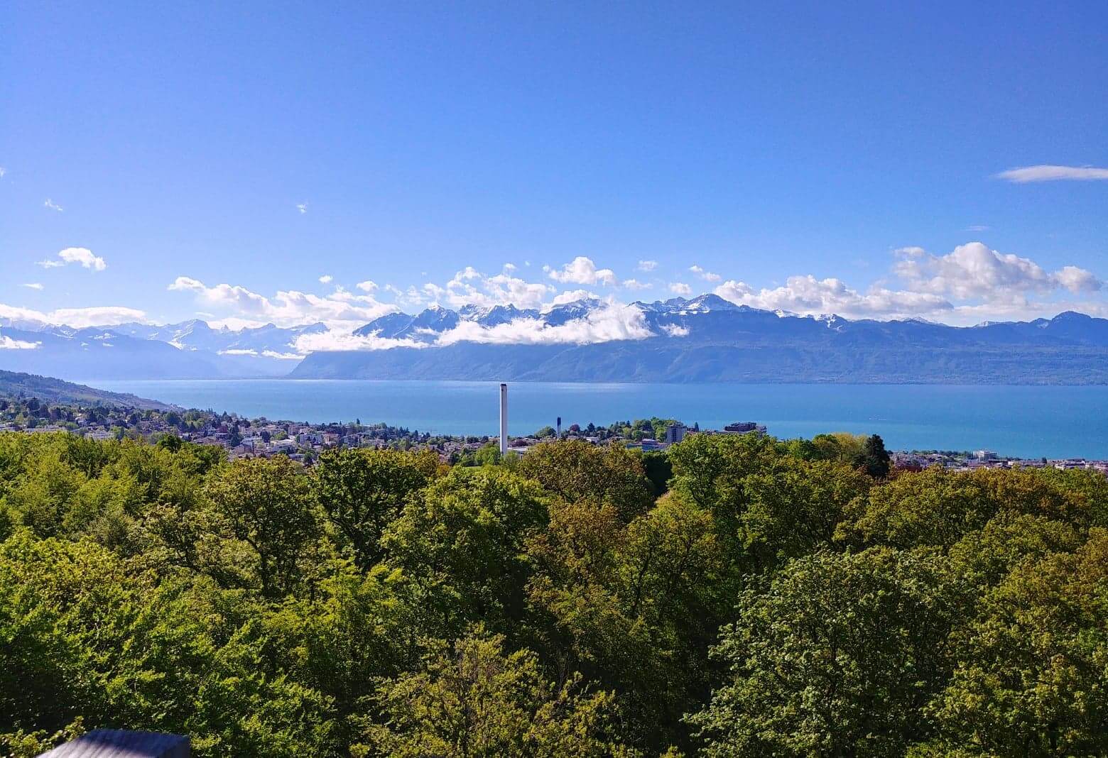 Tour Sauvabelin vue