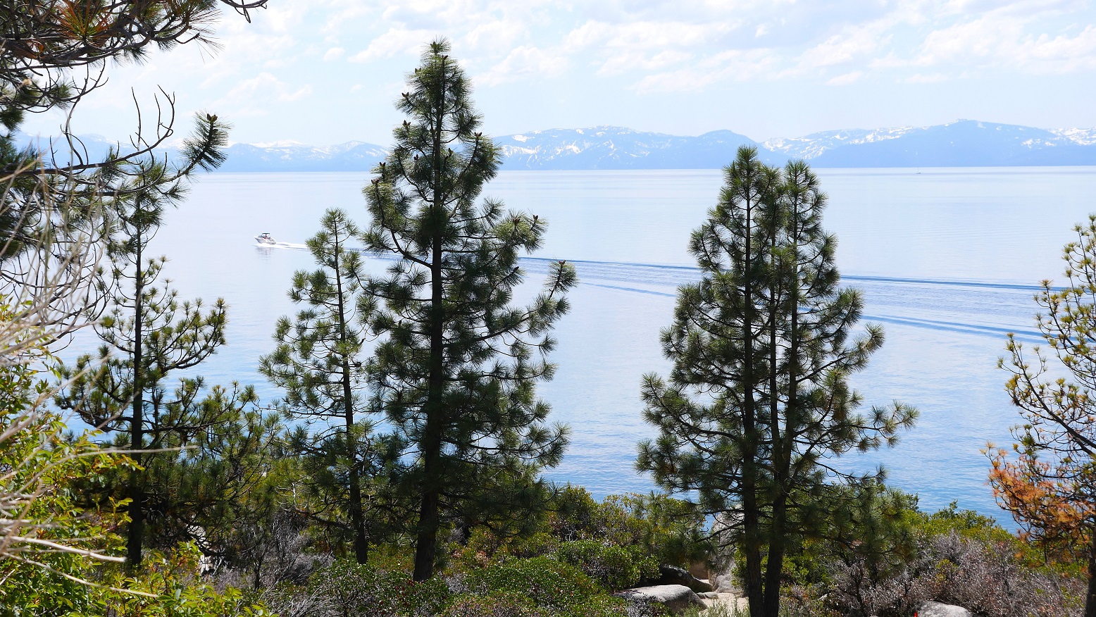 tahoe-bateau