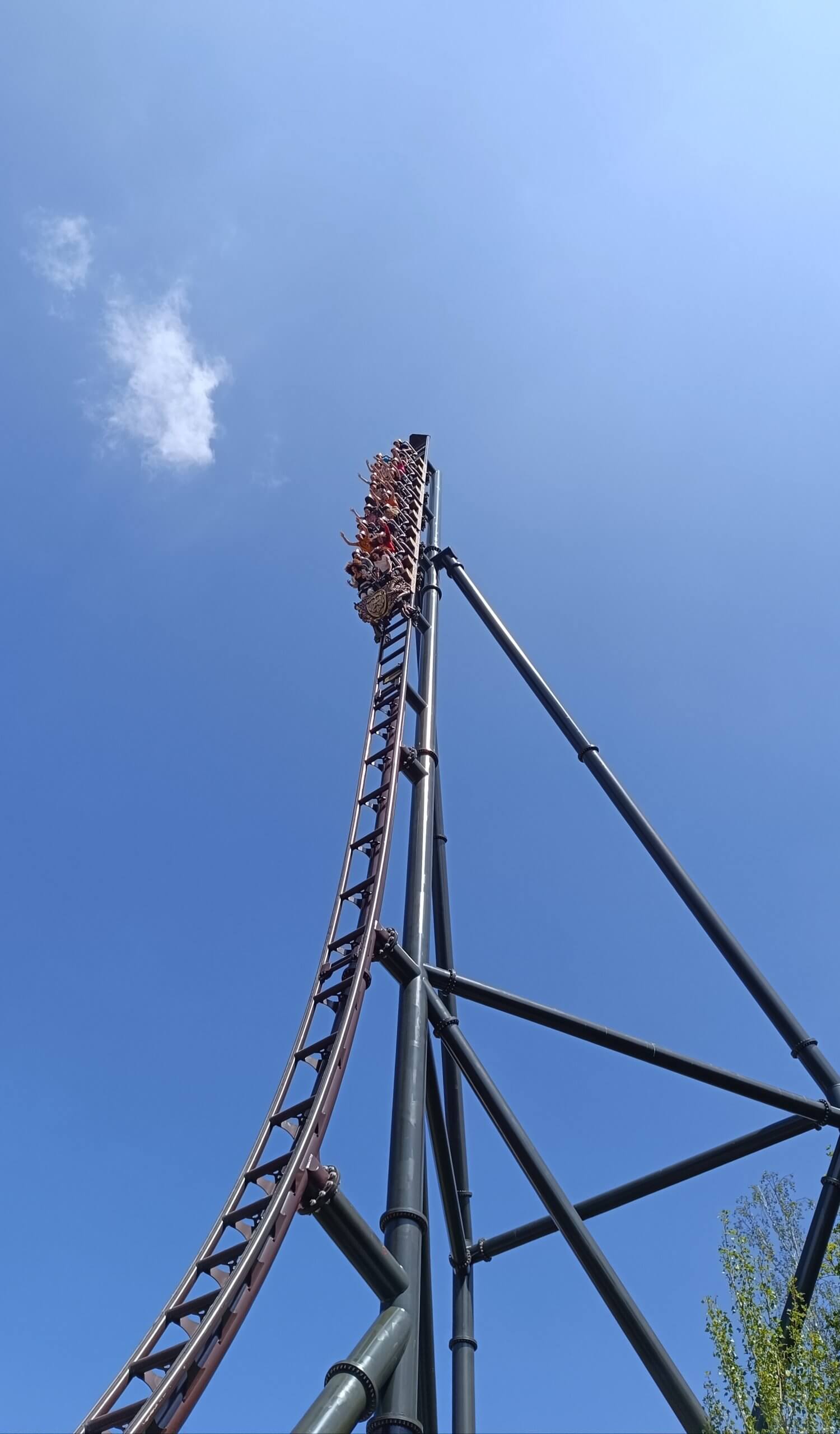 Flèche Toutatis Parc Astérix