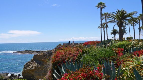paysage californie