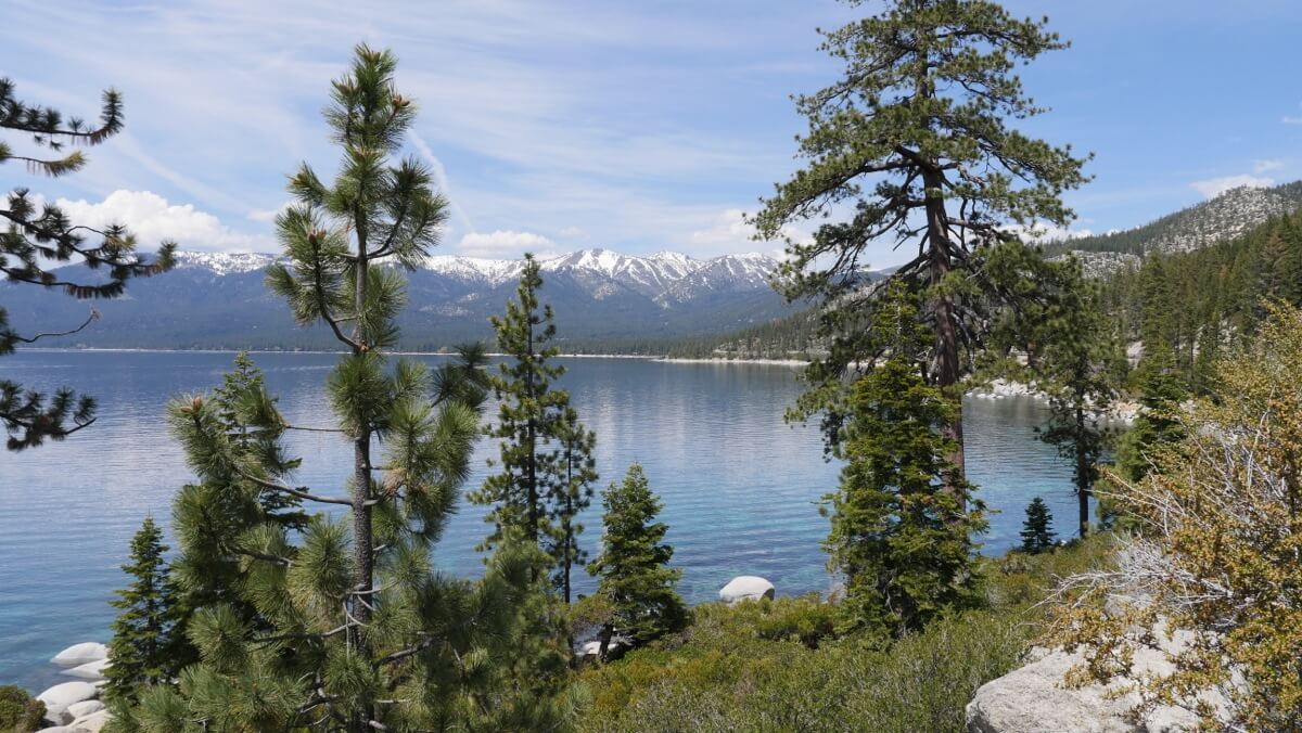 lac tahoe