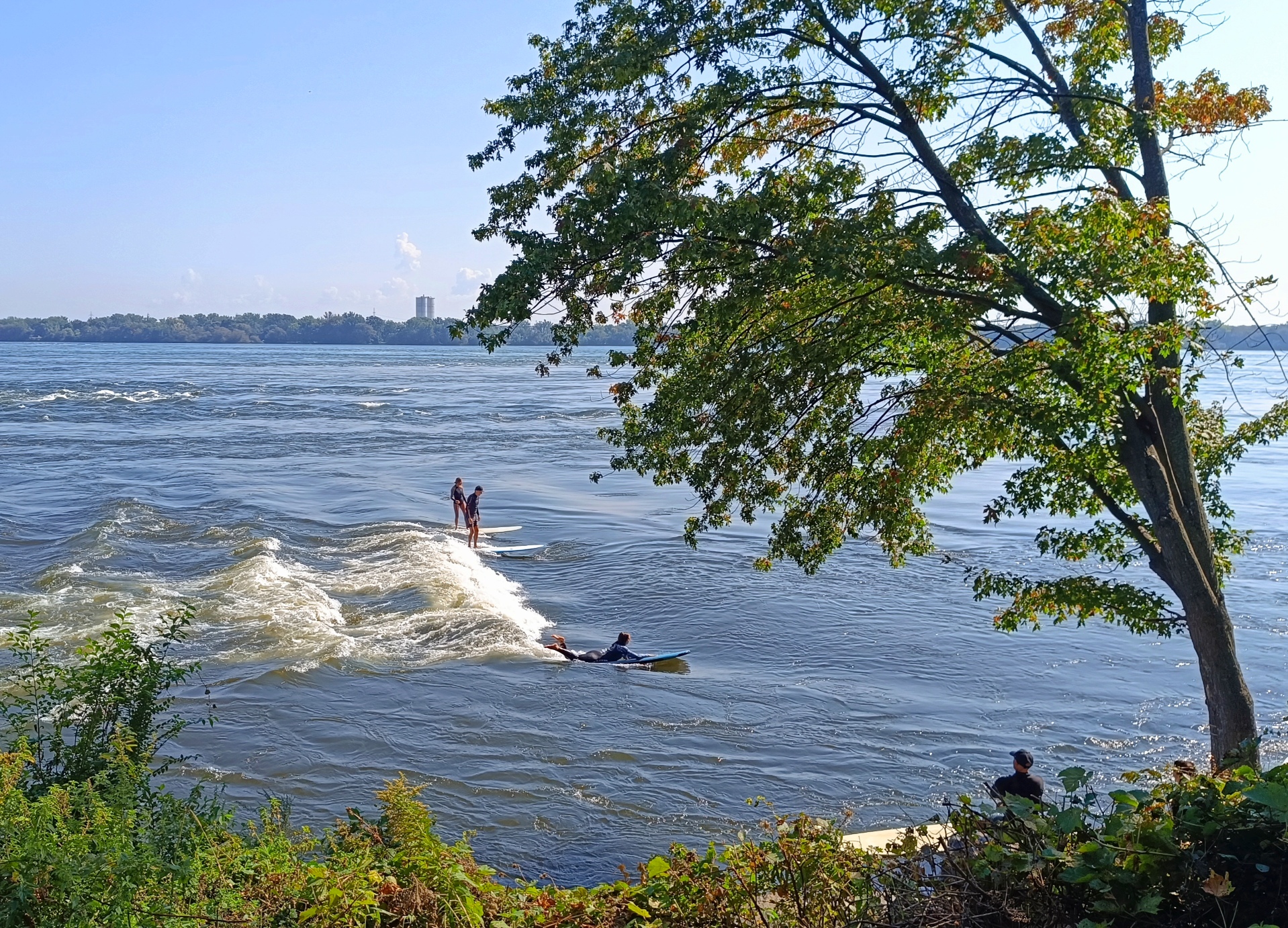 Vague à Guy Montréal