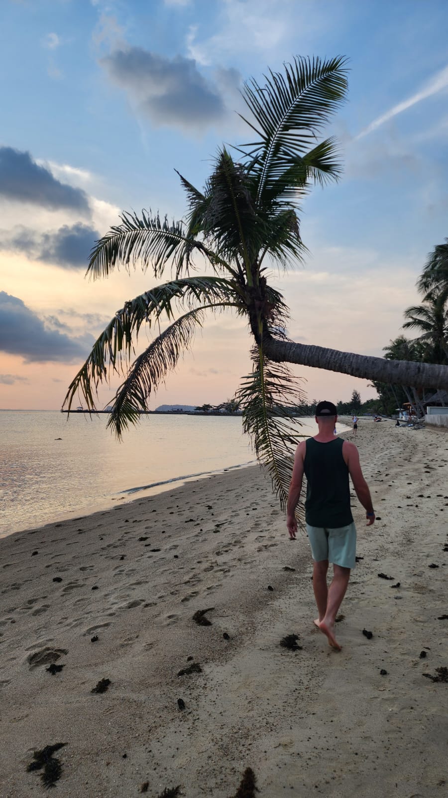 Plage Koh Phangan Wild Wood