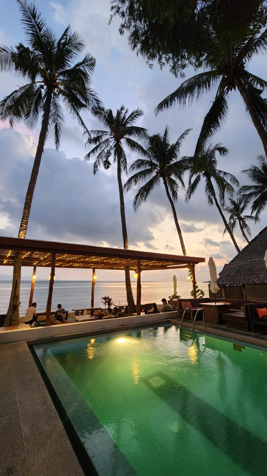 Piscine de nuit Wild Wood Fitness