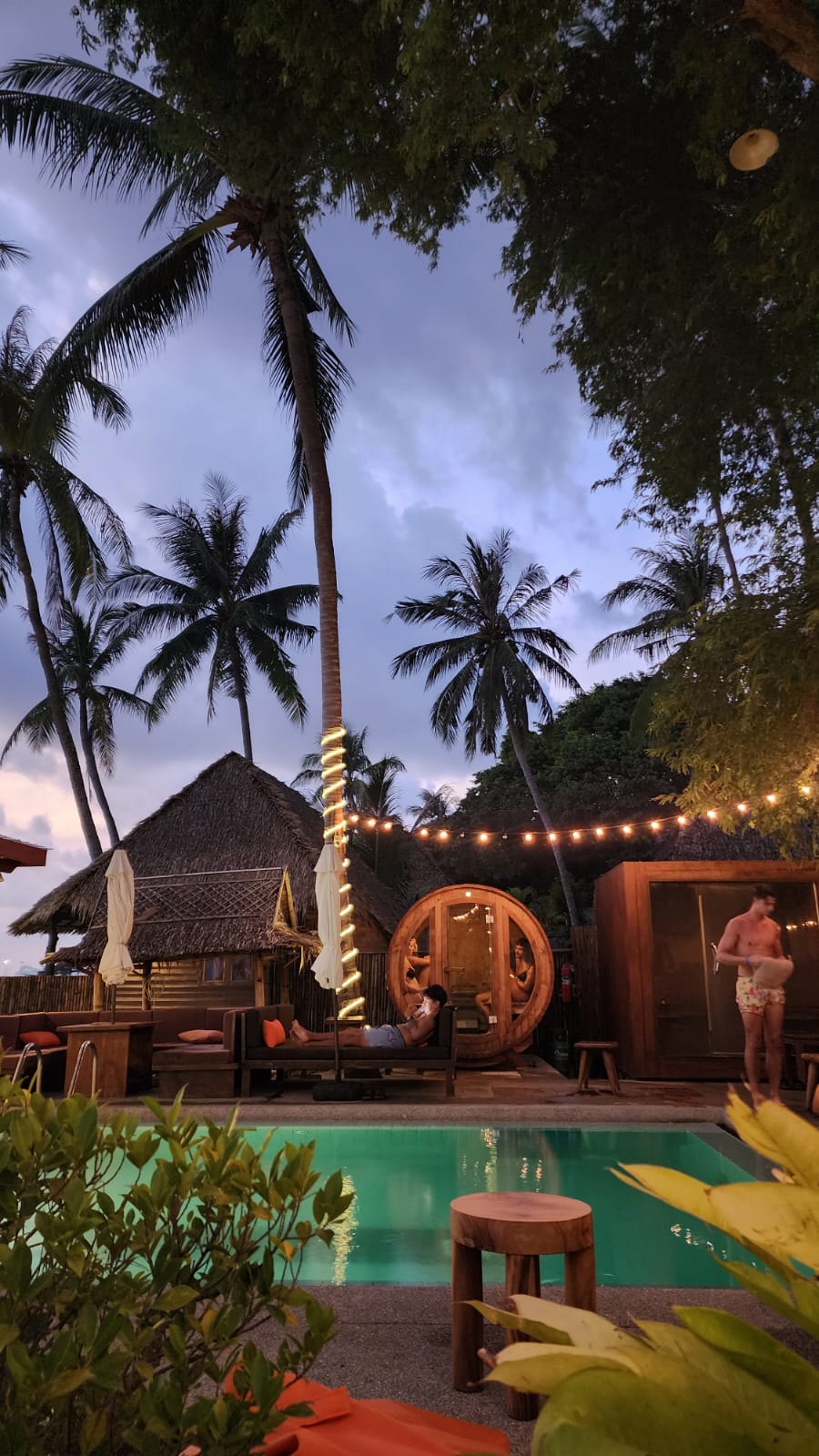 Wild Wood coucher de soleil